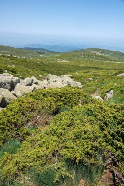 Bulgaristan 'ın Vitosha Dağı' nın İnanılmaz Bahar Manzarası