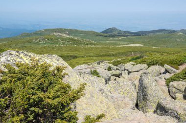 Bulgaristan 'ın Vitosha Dağı' nın İnanılmaz Bahar Manzarası