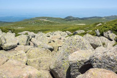 Bulgaristan 'ın Vitosha Dağı' nın İnanılmaz Bahar Manzarası