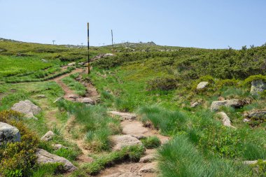 Bulgaristan 'ın Vitosha Dağı' nın İnanılmaz Bahar Manzarası
