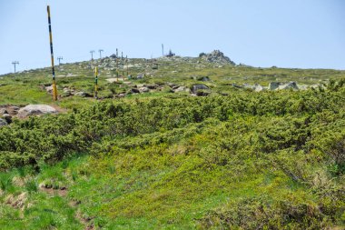 Bulgaristan 'ın Vitosha Dağı' nın İnanılmaz Bahar Manzarası
