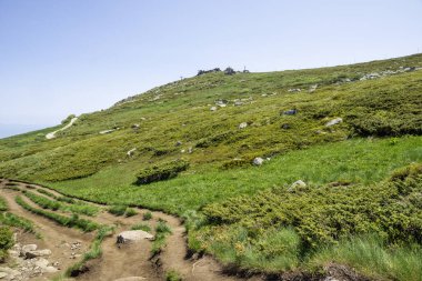 Bulgaristan 'ın Vitosha Dağı' nın İnanılmaz Bahar Manzarası