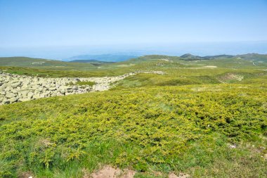 Bulgaristan 'ın Vitosha Dağı' nın İnanılmaz Bahar Manzarası