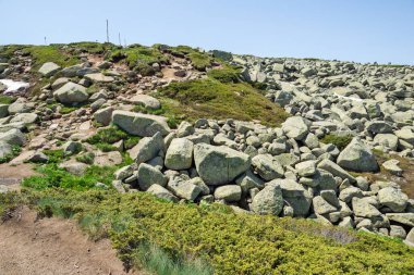 Bulgaristan 'ın Vitosha Dağı' nın İnanılmaz Bahar Manzarası
