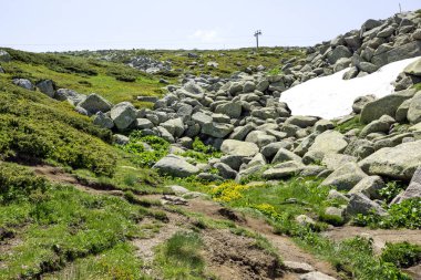 Bulgaristan 'ın Vitosha Dağı' nın İnanılmaz Bahar Manzarası