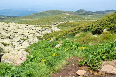 Bulgaristan 'ın Vitosha Dağı' nın İnanılmaz Bahar Manzarası