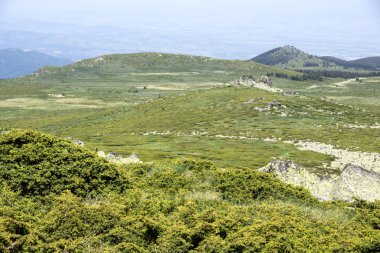 Bulgaristan 'ın Vitosha Dağı' nın İnanılmaz Bahar Manzarası