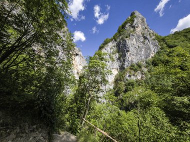 Bulgaristan 'ın Tran kenti yakınlarındaki Erma Nehri Boğazı' nın şaşırtıcı yaz manzarası