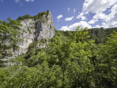 Bulgaristan 'ın Tran kenti yakınlarındaki Erma Nehri Boğazı' nın şaşırtıcı yaz manzarası