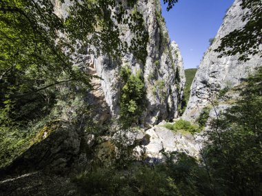 Bulgaristan 'ın Tran kenti yakınlarındaki Erma Nehri Boğazı' nın şaşırtıcı yaz manzarası