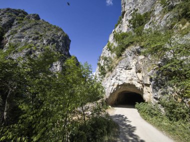 Bulgaristan 'ın Tran kenti yakınlarındaki Erma Nehri Boğazı' nın şaşırtıcı yaz manzarası