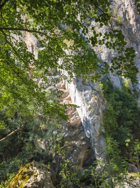 Bulgaristan 'ın Tran kenti yakınlarındaki Erma Nehri Boğazı' nın şaşırtıcı yaz manzarası
