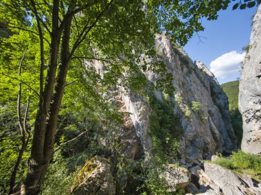 Bulgaristan 'ın Tran kenti yakınlarındaki Erma Nehri Boğazı' nın şaşırtıcı yaz manzarası
