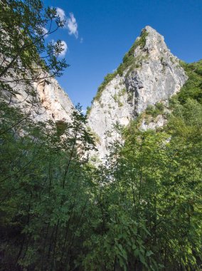 Bulgaristan 'ın Tran kenti yakınlarındaki Erma Nehri Boğazı' nın şaşırtıcı yaz manzarası