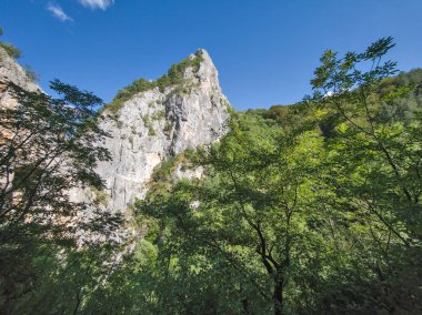 Bulgaristan 'ın Tran kenti yakınlarındaki Erma Nehri Boğazı' nın şaşırtıcı yaz manzarası