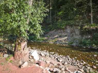 Bulgaristan 'ın Tran kenti yakınlarındaki Erma Nehri Boğazı' nın şaşırtıcı yaz manzarası