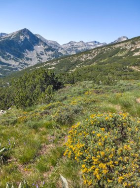 Bulgaristan 'ın Popovo Gölü yakınlarındaki Pirin Dağı' nın İnanılmaz Yaz Manzarası