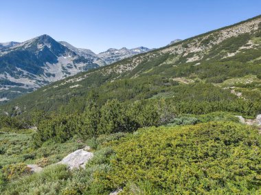 Bulgaristan 'ın Popovo Gölü yakınlarındaki Pirin Dağı' nın İnanılmaz Yaz Manzarası
