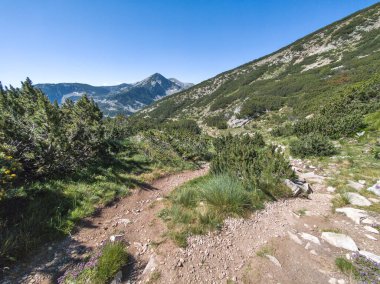 Bulgaristan 'ın Popovo Gölü yakınlarındaki Pirin Dağı' nın İnanılmaz Yaz Manzarası
