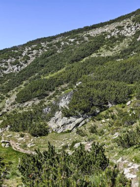 Bulgaristan 'ın Popovo Gölü yakınlarındaki Pirin Dağı' nın İnanılmaz Yaz Manzarası
