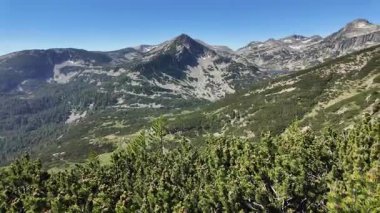 Bulgaristan 'ın Popovo Gölü yakınlarındaki Pirin Dağı' nın İnanılmaz Yaz Manzarası