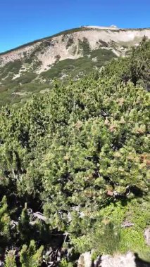 Bulgaristan 'ın Popovo Gölü yakınlarındaki Pirin Dağı' nın İnanılmaz Yaz Manzarası