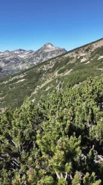 Bulgaristan 'ın Popovo Gölü yakınlarındaki Pirin Dağı' nın İnanılmaz Yaz Manzarası