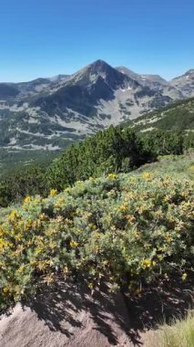 Bulgaristan 'ın Popovo Gölü yakınlarındaki Pirin Dağı' nın İnanılmaz Yaz Manzarası