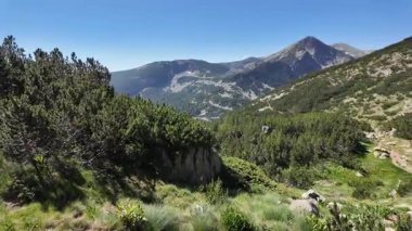 Bulgaristan 'ın Popovo Gölü yakınlarındaki Pirin Dağı' nın İnanılmaz Yaz Manzarası