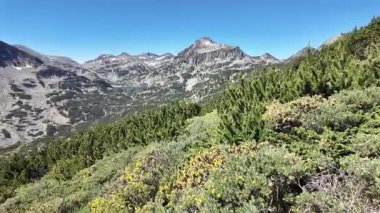 Bulgaristan 'ın Popovo Gölü yakınlarındaki Pirin Dağı' nın İnanılmaz Yaz Manzarası