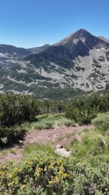 Bulgaristan 'ın Popovo Gölü yakınlarındaki Pirin Dağı' nın İnanılmaz Yaz Manzarası