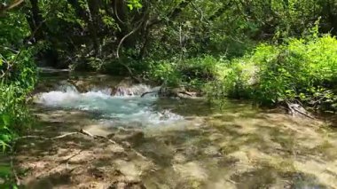 Bulgaristan 'ın Filibe bölgesindeki Rodos Dağı' nda Bachkovo şelaleleri çağlıyor