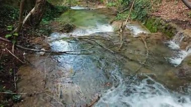 Bulgaristan 'ın Filibe bölgesindeki Rodos Dağı' nda Bachkovo şelaleleri çağlıyor