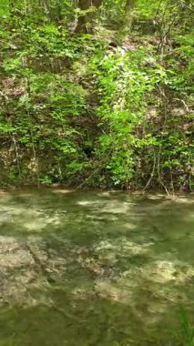 Bulgaristan 'ın Filibe bölgesindeki Rodos Dağı' nda Bachkovo şelaleleri çağlıyor