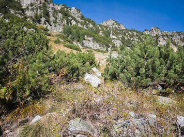 Amazing Autumn Landscape of Rila Mountain near Malyovitsa peak, Bulgaria