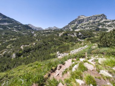 Bulgaristan 'ın Banski Gölleri yakınlarındaki Pirin Dağı' nın İnanılmaz Yaz manzarası