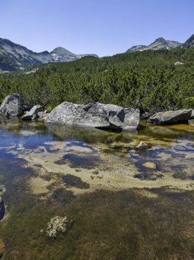 Bulgaristan 'ın Banski Gölleri yakınlarındaki Pirin Dağı' nın İnanılmaz Yaz manzarası