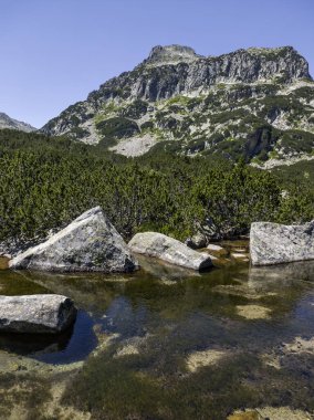 Bulgaristan 'ın Banski Gölleri yakınlarındaki Pirin Dağı' nın İnanılmaz Yaz manzarası