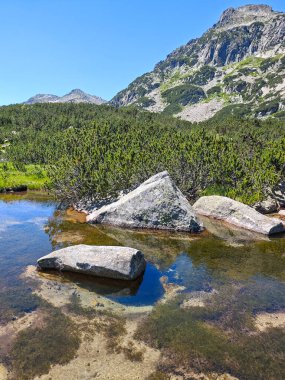 Bulgaristan 'ın Banski Gölleri yakınlarındaki Pirin Dağı' nın İnanılmaz Yaz manzarası