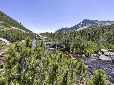 Bulgaristan 'ın Banski Gölleri yakınlarındaki Pirin Dağı' nın İnanılmaz Yaz manzarası