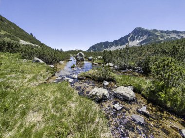 Bulgaristan 'ın Banski Gölleri yakınlarındaki Pirin Dağı' nın İnanılmaz Yaz manzarası