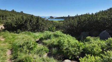 Bulgaristan 'ın Bezbog Gölü yakınlarındaki Pirin Dağı' nın İnanılmaz Yaz Manzarası