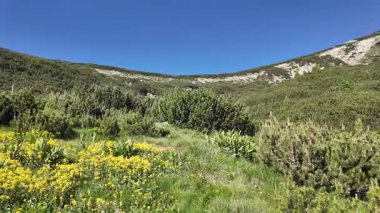 Bulgaristan 'ın Bezbog Gölü yakınlarındaki Pirin Dağı' nın İnanılmaz Yaz Manzarası