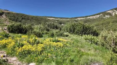 Bulgaristan 'ın Bezbog Gölü yakınlarındaki Pirin Dağı' nın İnanılmaz Yaz Manzarası