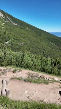 Bulgaristan 'ın Bezbog Gölü yakınlarındaki Pirin Dağı' nın İnanılmaz Yaz Manzarası