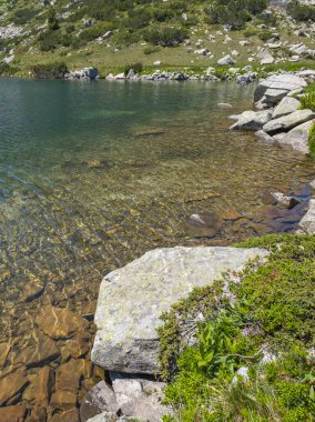 Bulgaristan 'ın Pirin Dağı' ndaki Popovo Gölü 'nün İnanılmaz Yaz Manzarası