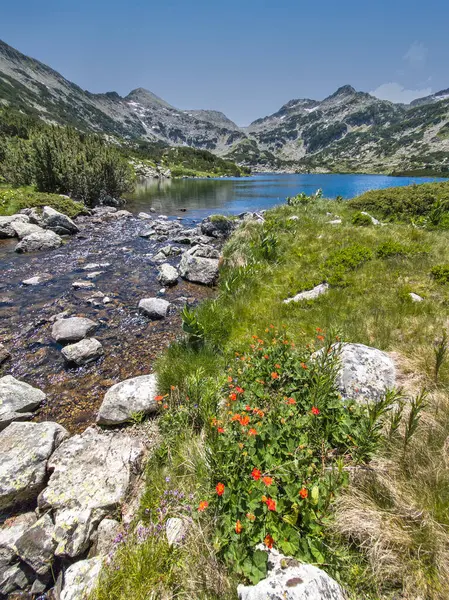 Bulgaristan 'ın Pirin Dağı' ndaki Popovo Gölü 'nün İnanılmaz Yaz Manzarası