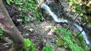 Bulgaristan 'ın Vitosha Dağı' nın Muhteşem Bahar Panoraması Boyana Şelalesi, düzenli