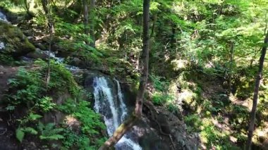 Bulgaristan 'ın Vitosha Dağı' nın Muhteşem Bahar Panoraması Boyana Şelalesi, düzenli