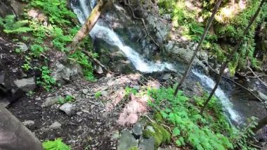 Bulgaristan 'ın Vitosha Dağı' nın Muhteşem Bahar Panoraması Boyana Şelalesi, düzenli